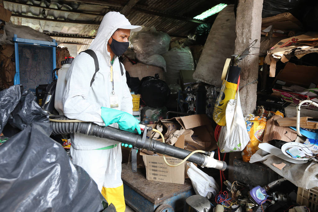 Em 4 meses, Brasil empata com casos de dengue de todo o ano de 2021